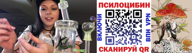 Купить закладки  Хасавюрт  Псилоцибиновые грибы Cubensis 